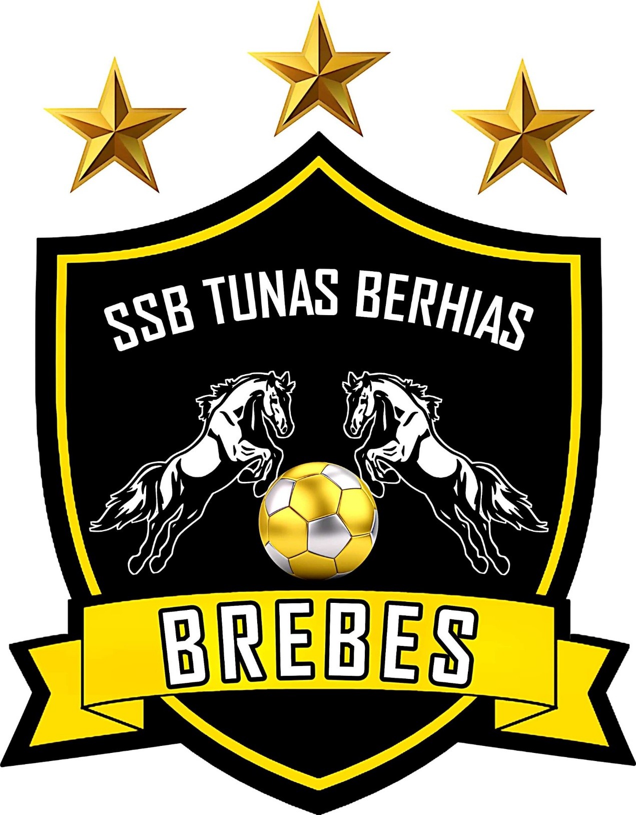TUNAS BERHIAS BREBES U12
